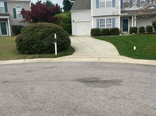 Aremo A.'s Lawn Mowing Service service result