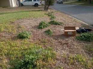 Weeding by Rafa Pena for David D. in McAllen, TX