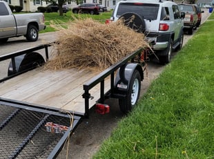 Bush Trimming by Matthew Dawson for Jamie C. in Hamilton, OH