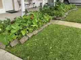 Weeding by Gray Allen for Marvin A. in Gretna, LA