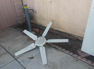 Cleanups by Mario Monje for Mackenzie P. in Riverside, CA