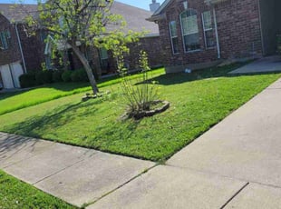 Ann D.'s Lawn Mowing Service service result