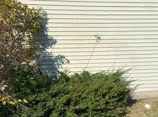 Bush Trimming by Kiare Salaam for Milca S. in Indianapolis, IN
