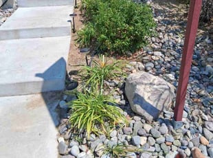 Elizabeth R.'s Flower Bed Weeding service result