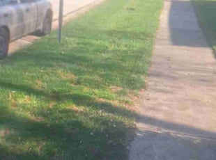 Leaf Removal by Vernon Henry for Tanya O. in Oak Forest, IL