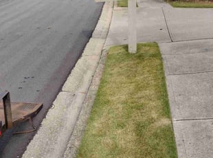 Leaf Removal by Joshua Boyd for Keisha M. in Douglasville, GA