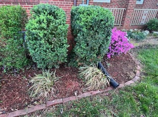 Weeding by Caree Keith for Vanessa G. in District Heights, MD