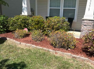 Mulching by William Webb for Diahann R. in Midland, NC