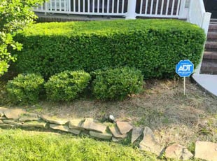 Bush Trimming by Travis Haun for Eboni J. in Knoxville, TN