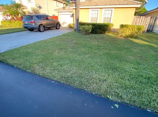 Bush Trimming by Jacqueline H for Karson J. in Miami, FL