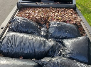 Leaf Removal by Brandon Escobar for Jewellee B. in Woodbridge, VA