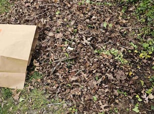 Leaf Removal by Artavius Clark for harold m. in Hyattsville, MD