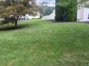 Paul B.'s Lawn Mowing Service service result