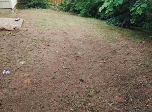 Leaf Removal by Adam Oliver for Peggy M. in Fort Worth, TX
