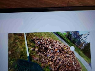 Leaf Removal by Nathan Ramirez for Jamila C. in Sammamish, WA