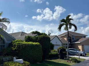Paul T.'s Bush Trimming service result