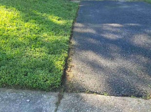 Khara N.'s Lawn Mowing Service service result