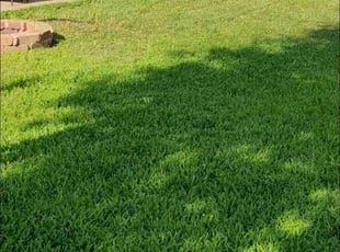 Timothy A.'s Lawn Mowing Service service result