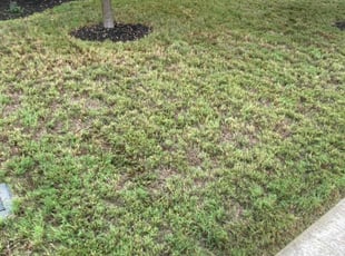 Cleanups by Fredrick Miller for Shane G. in Universal City, TX