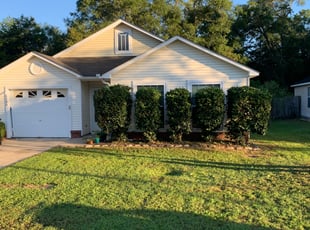 Bush Trimming by Brandon Langworthy for Dimitrius D. in Tallahassee, FL