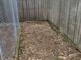 Cleanups by Andrew Carpenter for Joely S. in Columbus, OH
