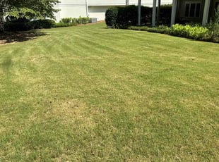 Denise A.'s Lawn Care service result