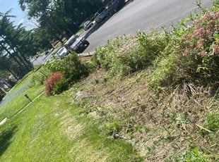 Robert T.'s Flower Bed Weeding service result