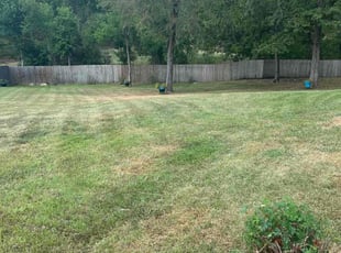 Bush Trimming by Eugene Harvey for Alexis K. in Ridgeland, MS