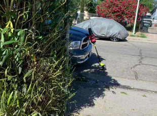 Bush Trimming by Jonathan Allen for Sharon S. in Sacramento, CA