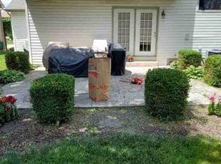 Bush Trimming by Judith Allen for LuAnn R. in Columbus, OH