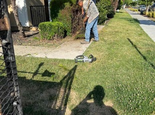 Bush Trimming by Juan Martinez for Hali W. in Lathrop, CA