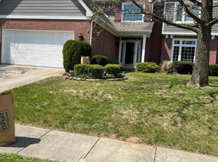 Leaf Removal by Collid Warner for Michael K. in Carmel, IN