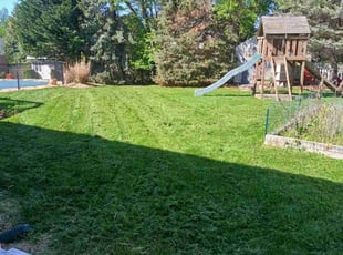 Tiffiny L.'s Lawn Service service result