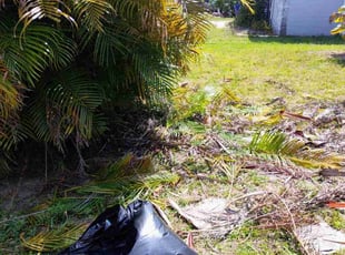Bush Trimming by Melissa Monge for Kelly R. in New Port Richey, FL