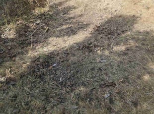 Cleanups by Shannon Baker for Tim W. in Medford, OR