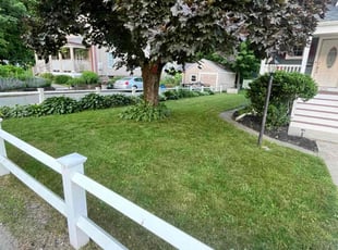 Sara C.'s Lawn Mowing service result