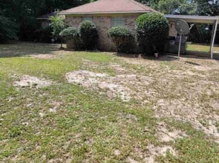 Margie M.'s Bush Trimming service result