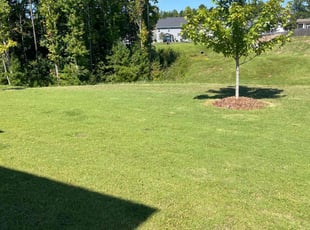 Brittany O.'s Grass Cutting service result