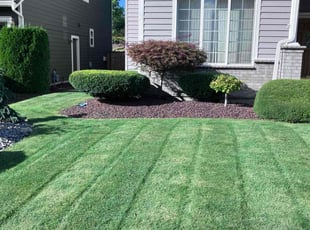 Ama S.'s Lawn Service service result