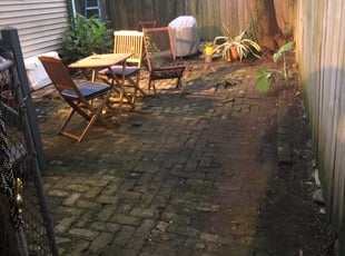 Leaf Removal by Nathan Simpkins for Paul M. in New Orleans, LA