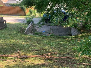Bush Trimming by Marvin Crawley for Ann E. in Pittsburgh, PA