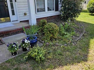 Bush Trimming by Jeremiah Davis for Kathryn W. in Charlotte, NC