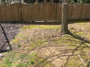 Cleanups by B.J. Schuetz for Jennifer W. in Lewis Center, OH