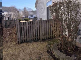 Leaf Removal by Nicholas Sarcletti for Brittany B. in Plainfield, IL