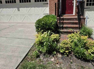Bush Trimming by James Mckenzie for WALTER M. in Upper Marlboro, MD