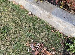 Bush Trimming by Jonathan Villatoro for Patrick W. in Bethesda, MD