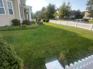 Teneka W.'s Lawn Mowing Service service result