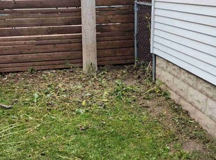 Cleanups by Robert Dowdy for Jeremy W. in Milwaukee, WI