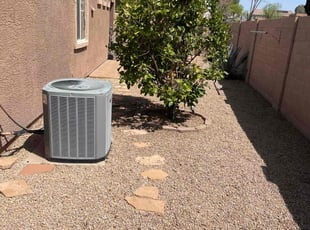 Leaf Removal by Michael Rizzo for Bailey M. in Mesa, AZ