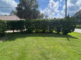 Bush Trimming by Jonathan Cruz for Mark L. in Palm Coast, FL